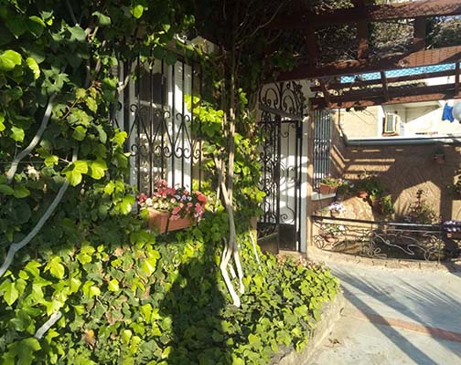 website design,klickhier,klick hier,web mit pep,webseiten,domain,ionos,hosting,server,baukasten,erstellung,betreuung,renovierung,cheap,billig,free,kostenlos,schnell,deutsch,hannover,deutschland,professionell,web designer,web visitenkarte,seo,suchmaschienenoptimierung,e-mail adresse